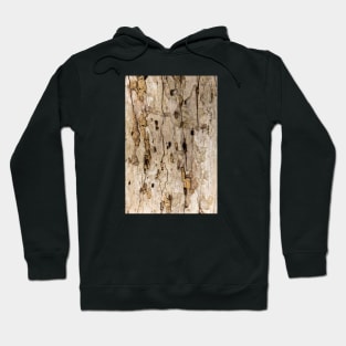 Termite Wooden Surface Hoodie